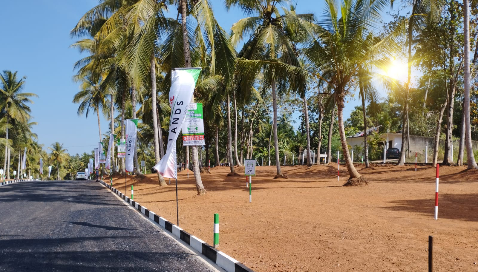 Green City - Giriulla Gallery Photo 3